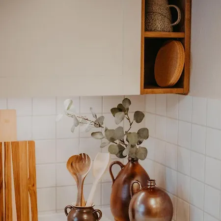Elegant, 2 Rooms, Balcony, Kitchen Dresden