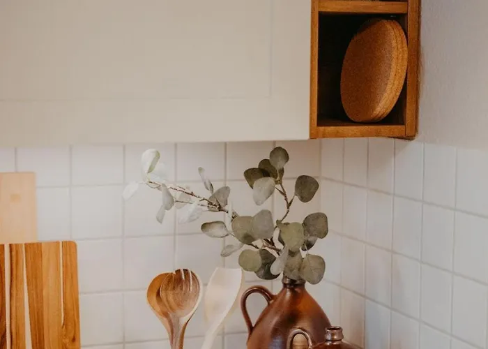 Elegant, 2 Rooms, Balcony, Kitchen Dresda