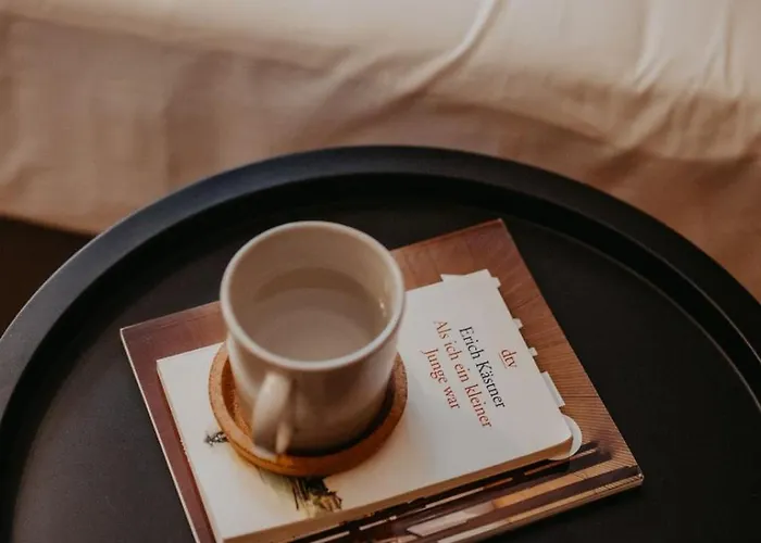 公寓 Elegant, 2 Rooms, Balcony, Kitchen 德累斯顿